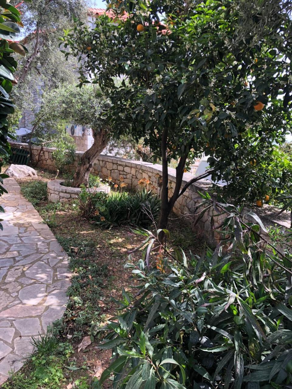 Villa Amanda Neokhorion  エクステリア 写真